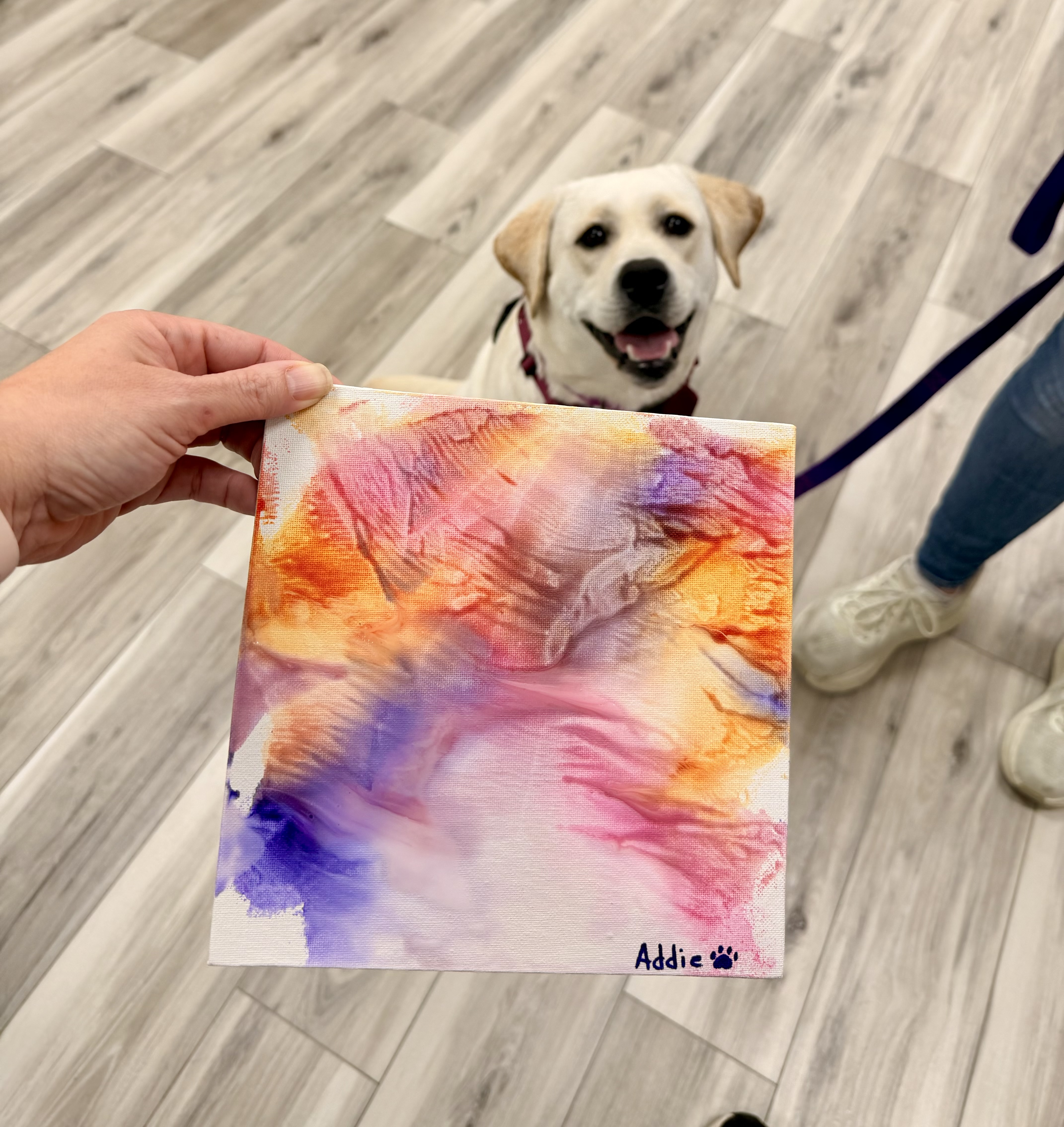 Group of Bark Spot Day Camp dogs with completed artwork