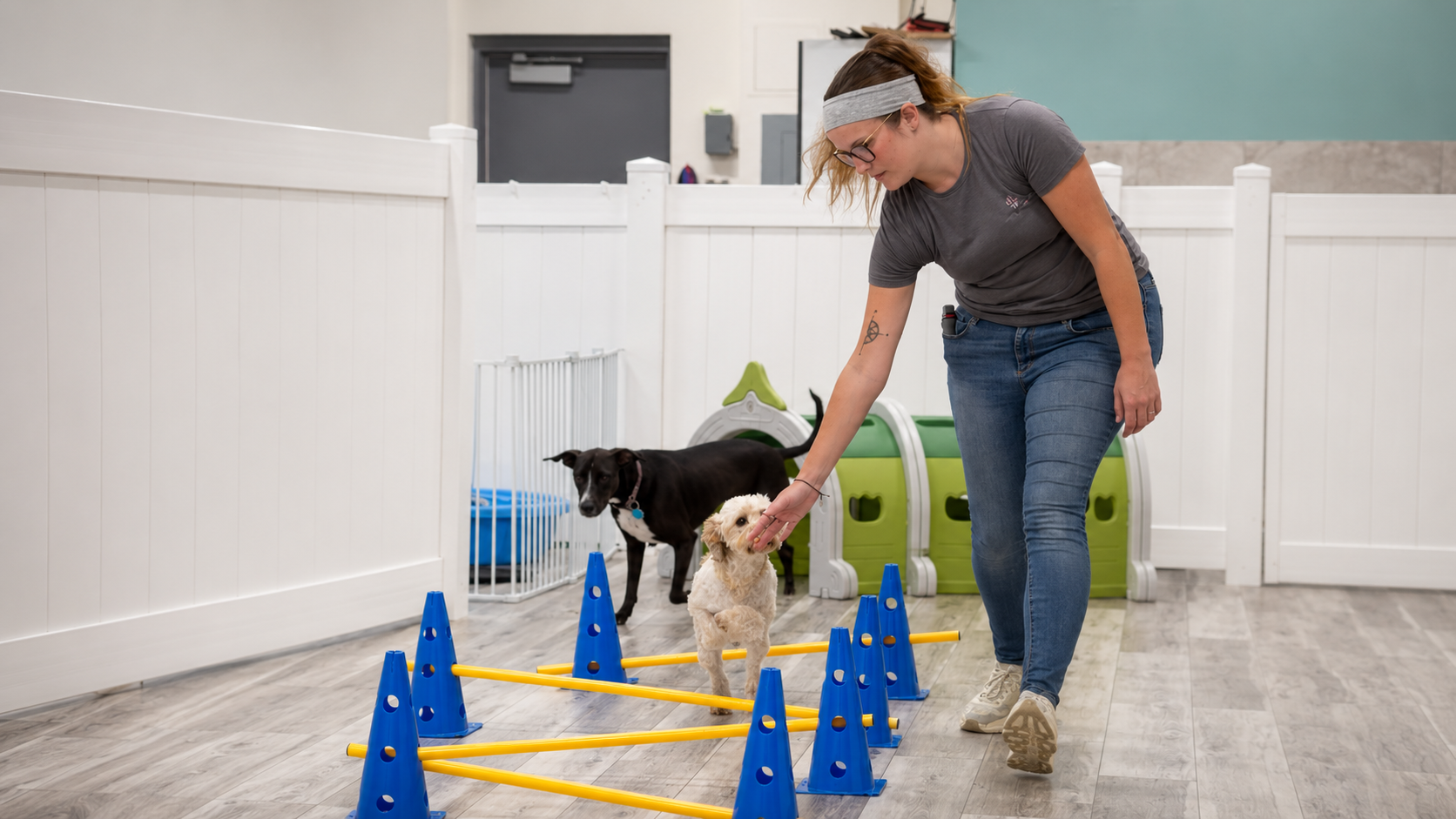 Happy Day Camp dog participating in an enrichment activity
